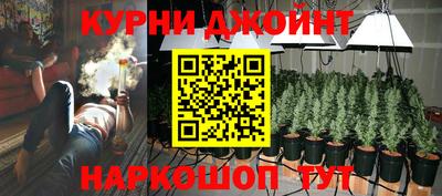 индика Волгодонск