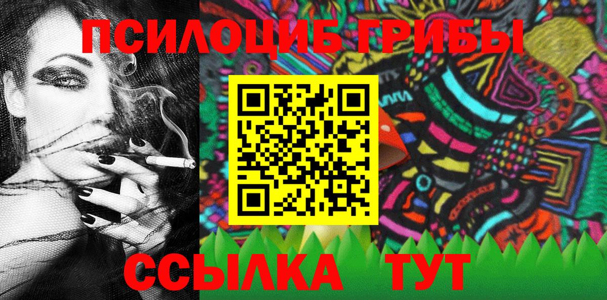 Псилоцибиновые грибы Psilocybe Невинномысск