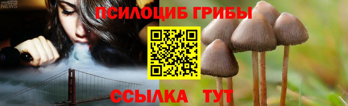 Невинномысск  Галлюциногенные грибы прущие грибы  Вход с VPN 